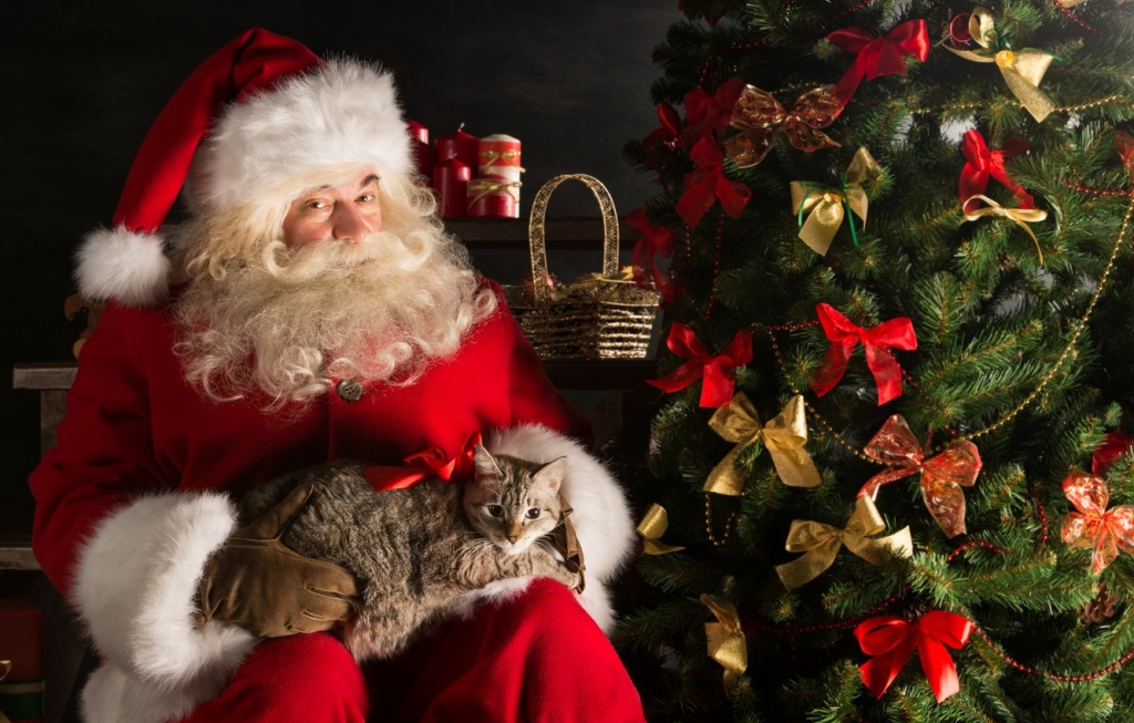 ukrasheniia-elka-novyi-god-rozhdestvo-podarki-santa-klaus--1.jpg ukrasheniia-elka-novyi-god-rozhdestvo-podarki-santa-klaus--1.jpg